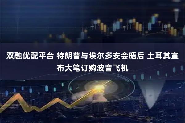 双融优配平台 特朗普与埃尔多安会晤后 土耳其宣布大笔订购波音飞机