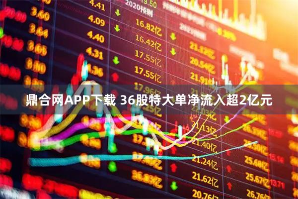 鼎合网APP下载 36股特大单净流入超2亿元