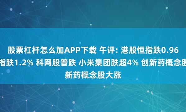 股票杠杆怎么加APP下载 午评: 港股恒指跌0.96% 科指跌1.2% 科网股普跌 小米集团跌超4% 创新药概念股大涨