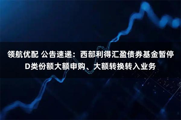 领航优配 公告速递：西部利得汇盈债券基金暂停D类份额大额申购、大额转换转入业务
